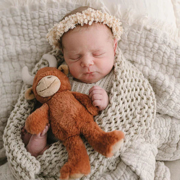 Henry the Highland Cow Rattle