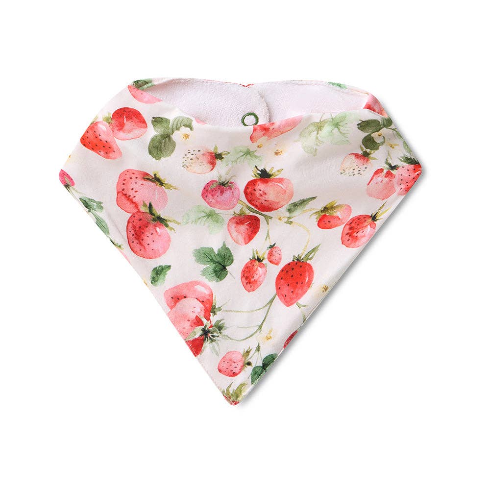 Strawberry Organic Dribble Bib