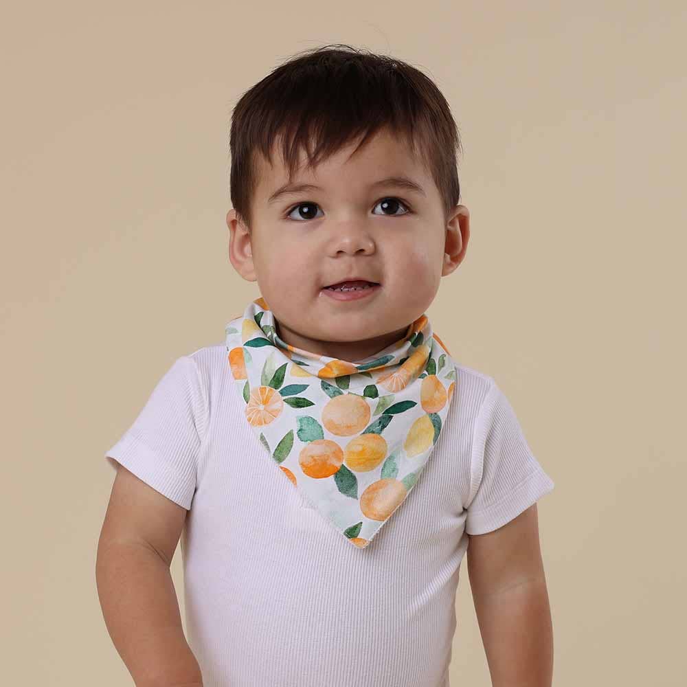 Citrus Squeeze Organic Dribble Bib