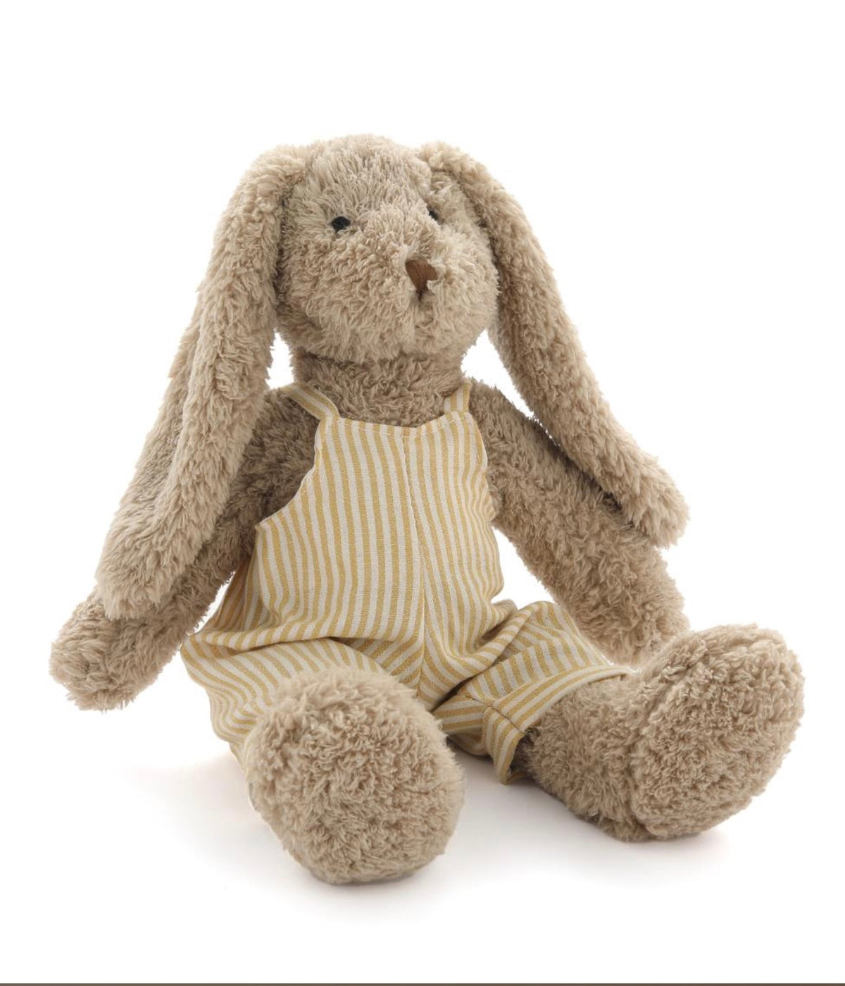 Mr Honey Bunny