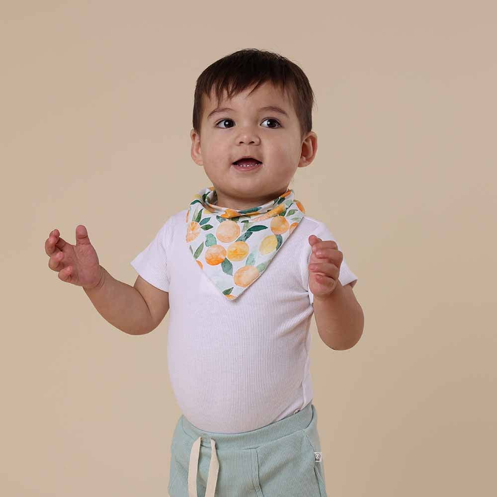 Citrus Squeeze Organic Dribble Bib