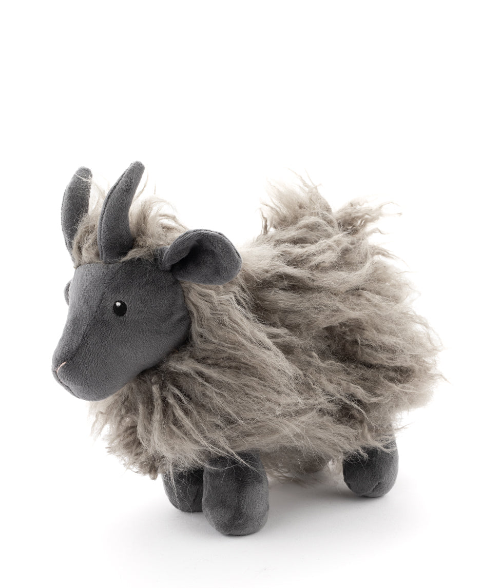 aiden_the_angora_goat