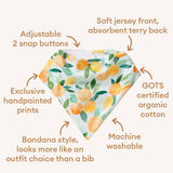 Citrus Squeeze Organic Dribble Bib