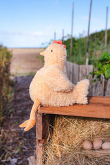 Harriet the Hen soft toy Nana Huchy plush farm animal