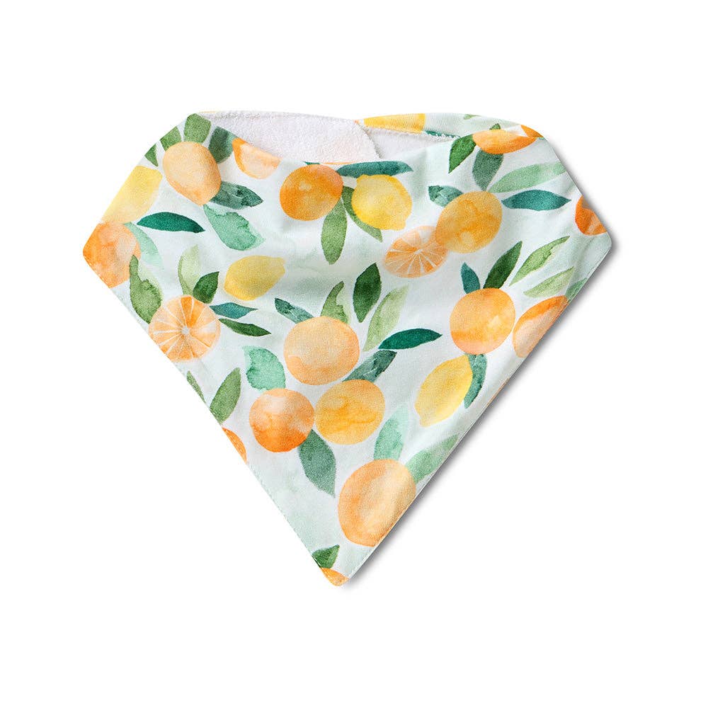 Citrus Squeeze Organic Dribble Bib