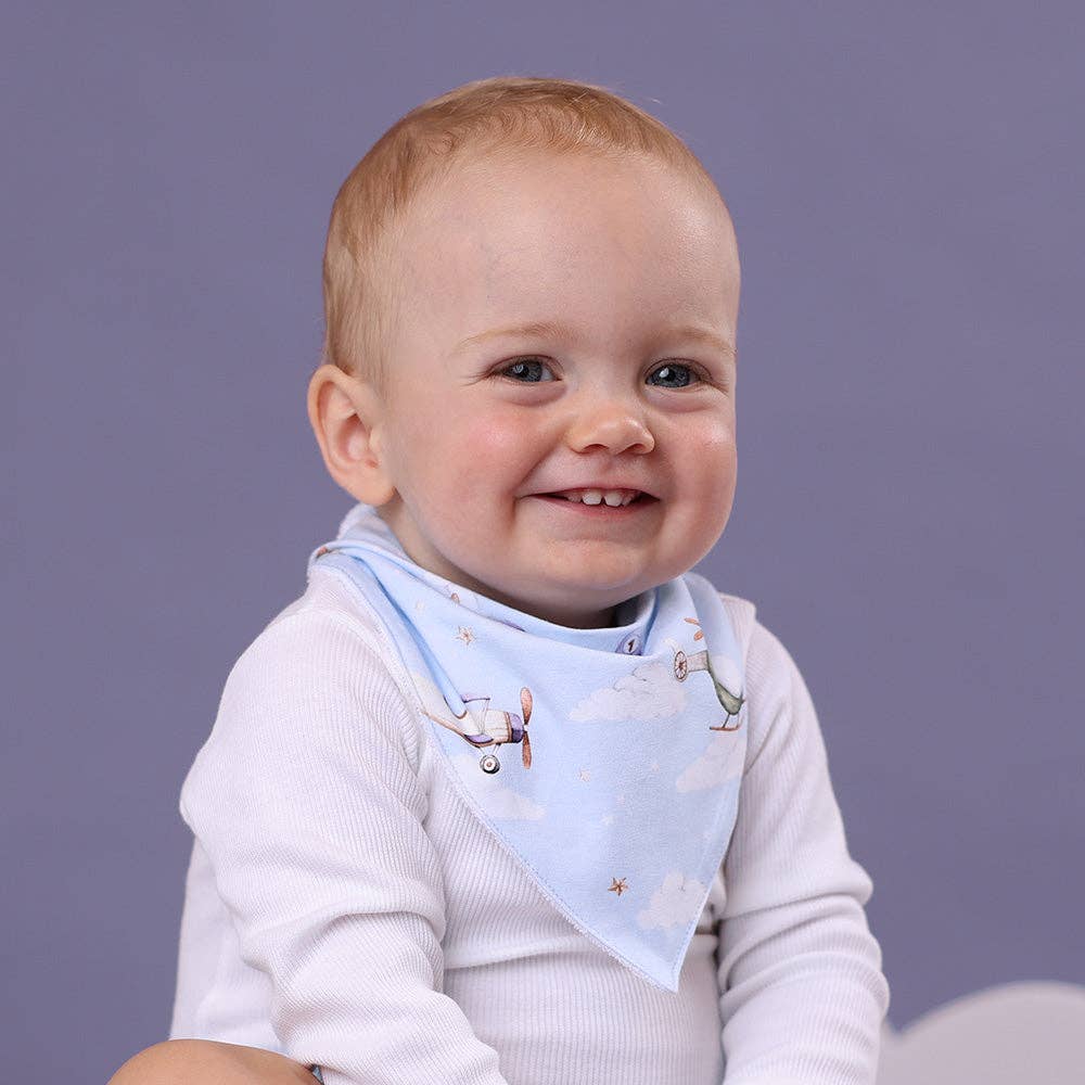 Taking Flight Organic Dribble Bib