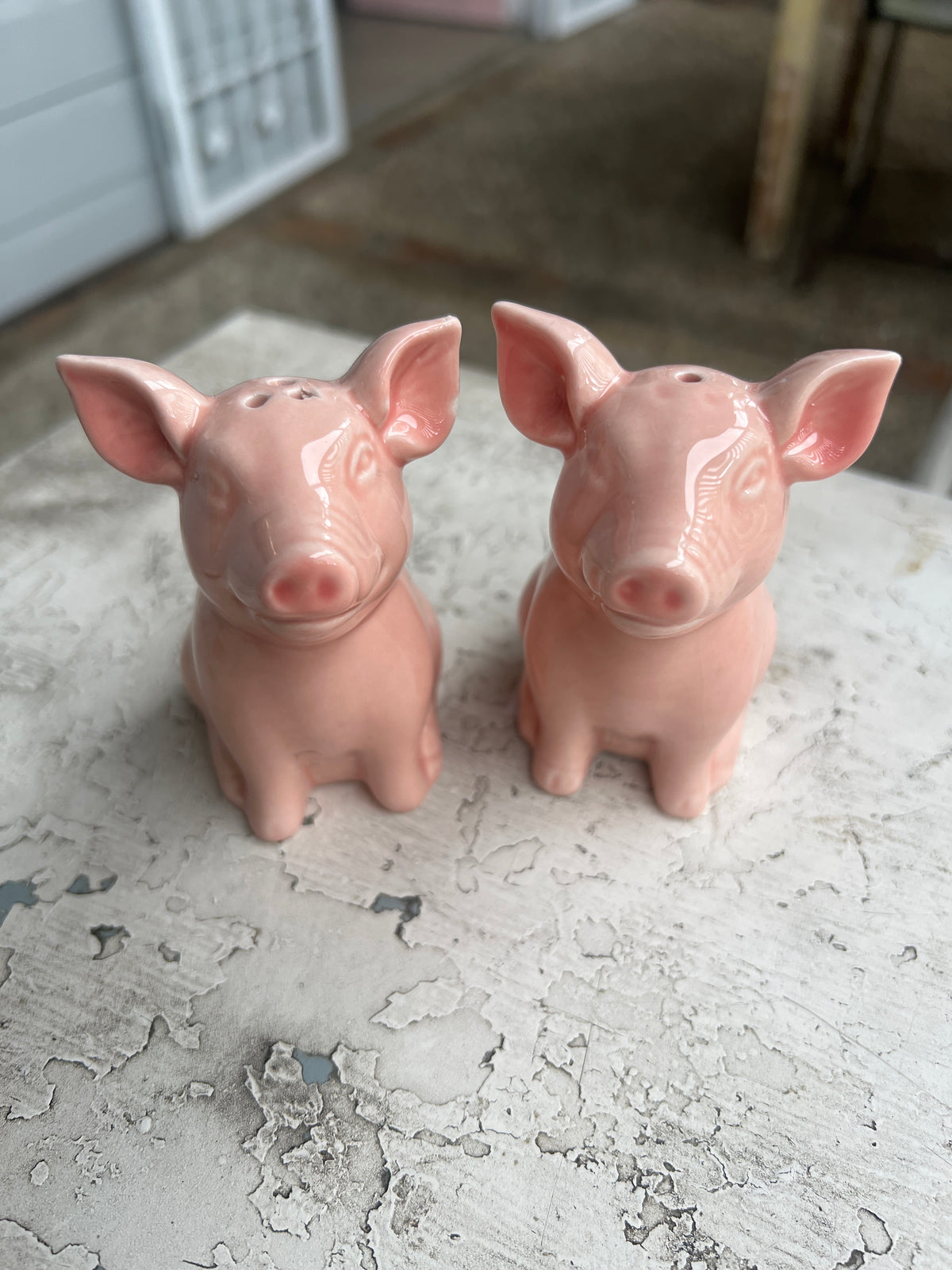 Dolomite Pig Salt & Pepper Set | Novelty Kitchen Shakers