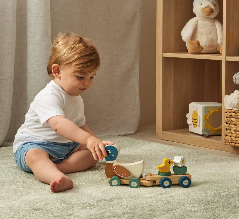 Duck Train Set