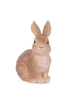 Hopping Cotton Tail Bunny Rabbit Easter