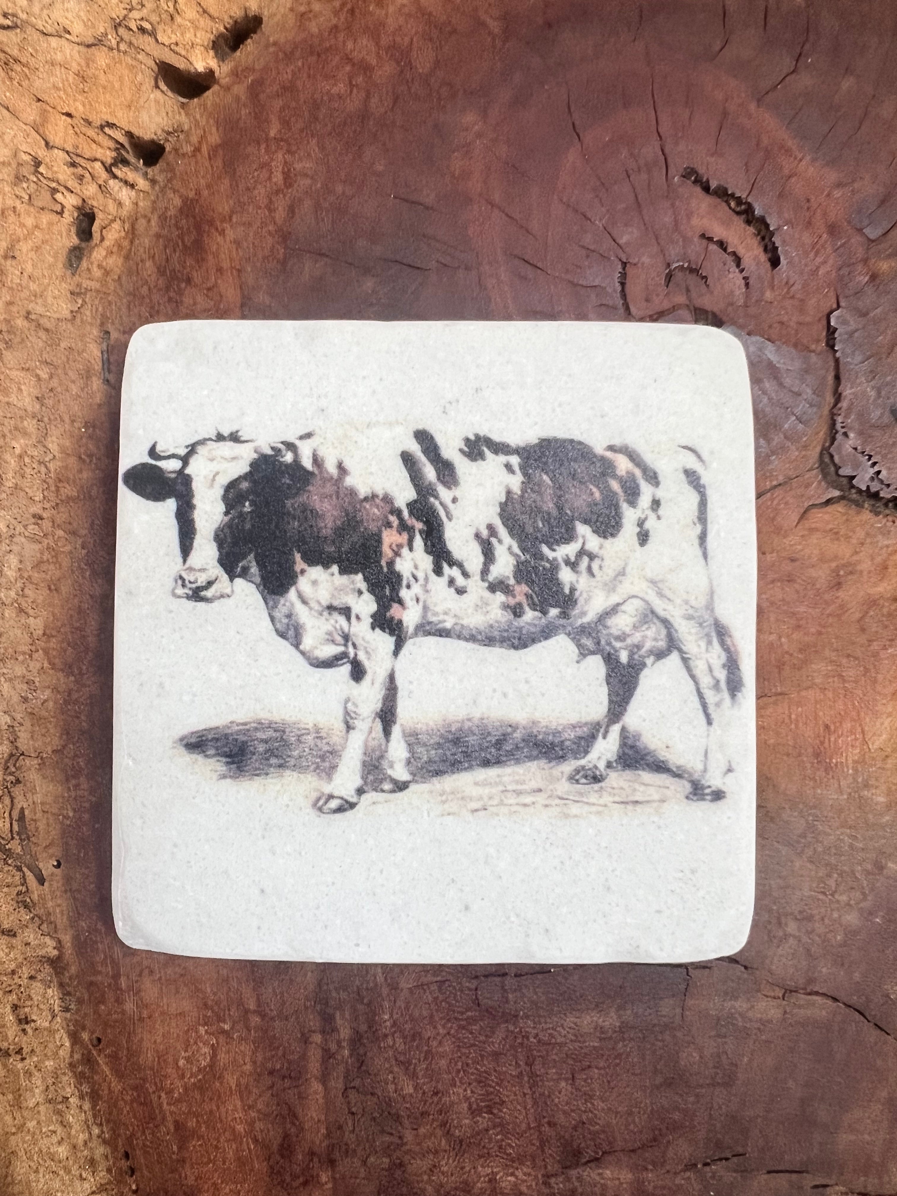 Ayrshire Cow Coaster