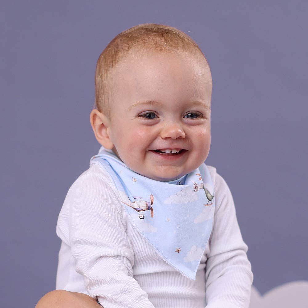 Taking Flight Organic Dribble Bib
