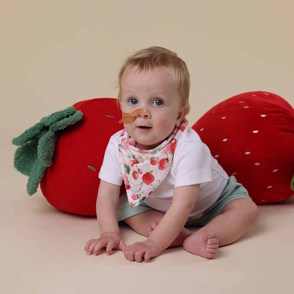 Strawberry Organic Dribble Bib